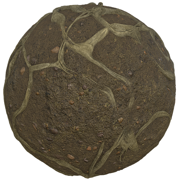 Tree Roots on Muddy Ground (Sphere)